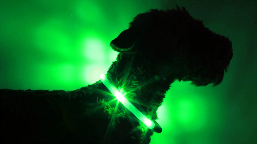Lekki kołnierz LED LEUCHTIE w wyjątkowo jasnej wersji zielony w przezroczystej tubie
